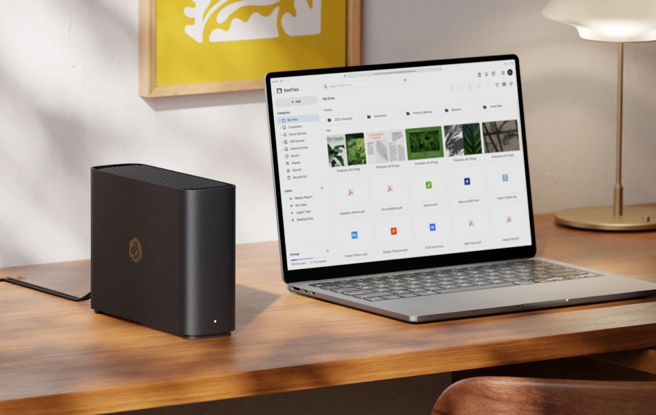 BST150-4T BEESTATION 1-BAY 4TB